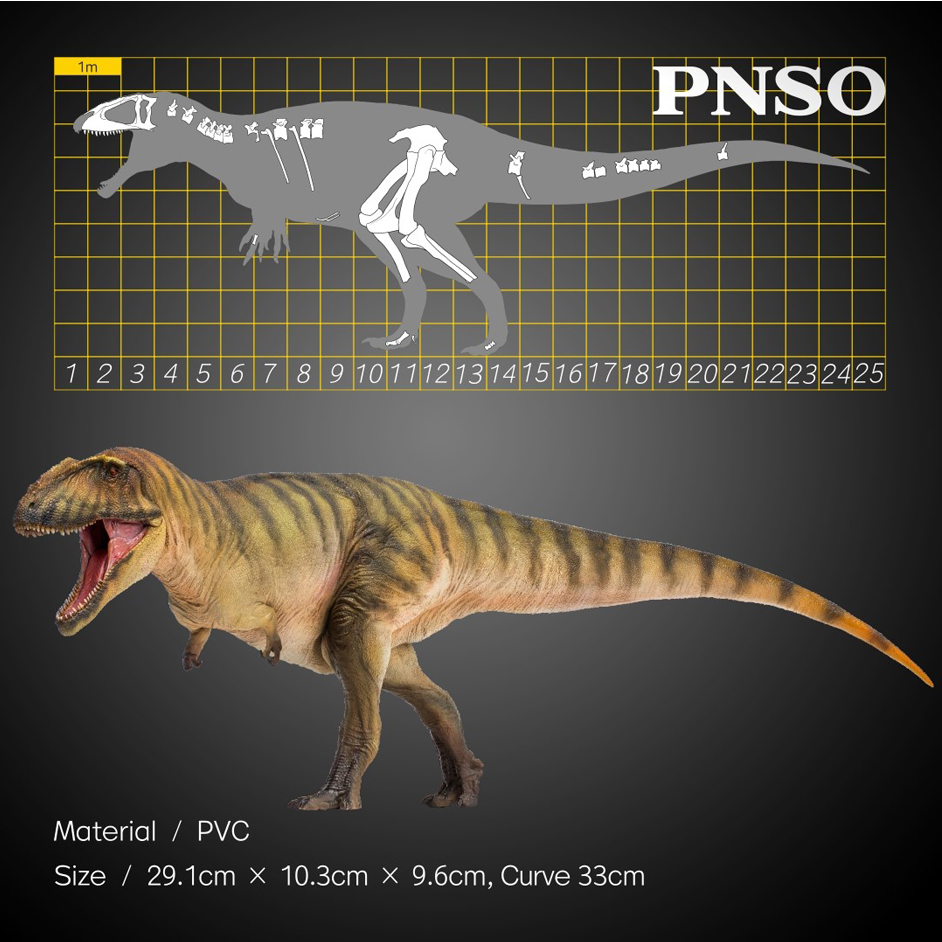 PNSO Gamba the Carcharodontosaurus skeletal measurements