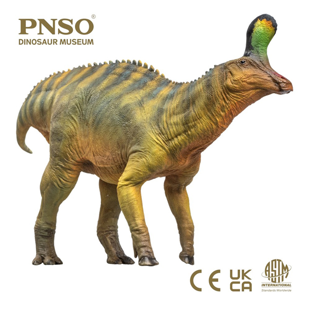 PNSO Xiaoqin the Tsintaosaurus anterior