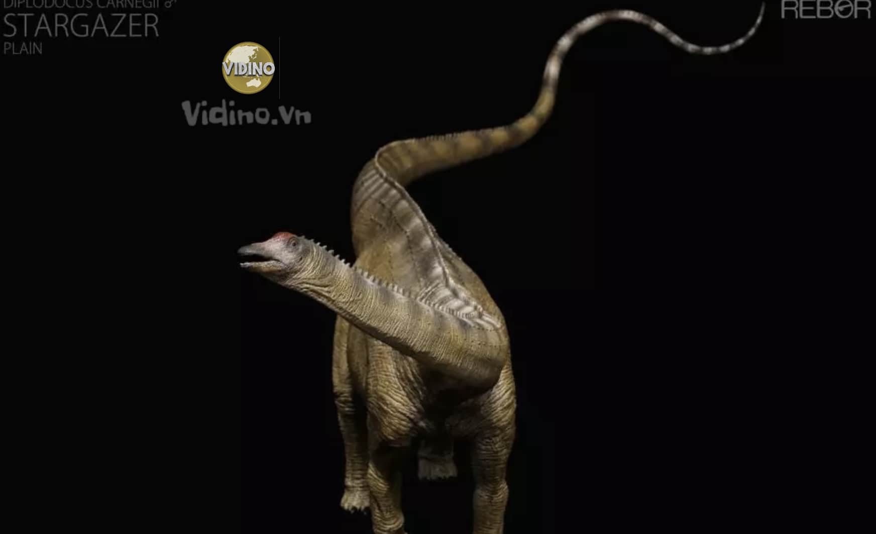Diplodocus rebor2