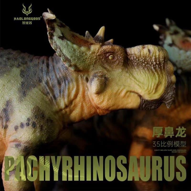 mo hinh khung long pachyrhinosaurus hang haolonggood